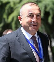 Mevlüt Çavuşoğlu (2015)