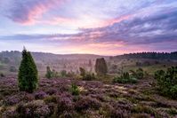 Totengrund nennt sich dieses mystische Tal mitten im Naturpark Lüneburger Heide. Bild: "obs/Katzensprung/© Lüneburger Heide"