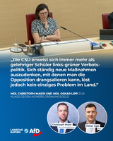 Bild: AfD Deutschland