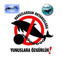 WDSF/ProWal-Demonstrationen gegen Delfinarien in der Türkei 