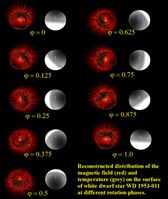 Verhältnis zwischen Magnetfeldern (rot) und Temperatur (grau) auf der Oberfläche des Weißen Zwerges
Quelle: Foto: Universität Göttingen (idw)