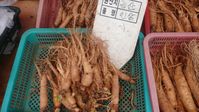 Koreanischer Ginseng: Insam (인삼).