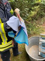 Der Storch konnte aus seiner misslichen Lage befreit werden. Bild: Feuerwehr