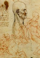 Studie eines Männerkopfes, Leonardo da Vinci. Bild: de.wikipedia.org