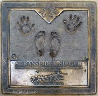 Felix Baumgartner  Ehrung auf der Straße der Sieger (Mariahilfer Straße, Wien)
