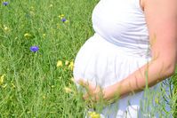 Schwangere: Glyphosat verkürzt Dauer.