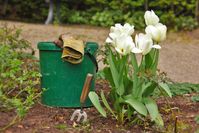 Jetzt schon starten: Den Garten fit für den Frühling machen! Bild: "obs/Bund deutscher Baumschulen (BdB) e.V."