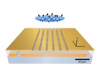 Mithilfe eines Mikrochips wird eine Wolke von ultrakalten Atomen gefangen und ihre magnetischen Mome
Quelle: Illustration: Universität Basel, Departement Physik (idw)