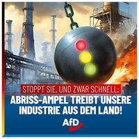 Bild: AfD Deutschland