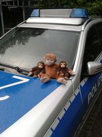 Bild: Polizeipräsidium Heilbronn