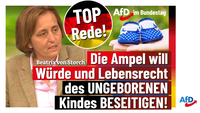 Bild: AfD Deutschland