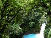 Regenwald mit Wasserfall