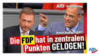 Bild: AfD Deutschland