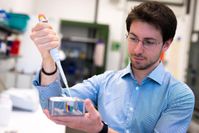 Doktorand Francesco Righetti sucht nach den Thermometern von Bakterien.
Quelle: © RUB, Kramer (idw)