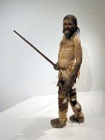 Rekonstruktion des „Ötzi“ (Südtiroler Archäologiemuseum, 2011). Bild: wikipedia.org