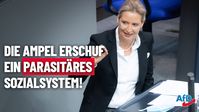 Bild: AfD Deutschland