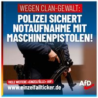 Bild: AfD Deutschland