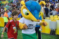 Fuleco, das offizielle Maskottchen der WM 2014 in Brasilien.