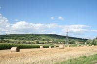 Heimat: Hier das schöne Badnerland im Südwesten Deutschlands zur Sommerzeit.