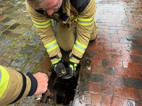 Bild: Feuerwehr