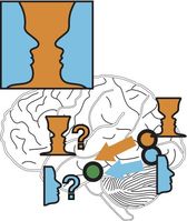 Gesichter oder Vase? Weil Netzwerke im Gehirn sehr schnell ihre Organisation ändern können, nehmen wir unterschiedliche Bildelemente wahr.
Quelle: Bild: Demian Battaglia/MPI für Dynamik u. Selbstorganisation (idw)
