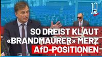 Bild: AfD Deutschland