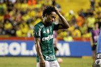 Zé Roberto  (2017)