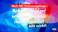 Bild: AfD Deutschland