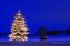 Weihnachtsbaum /Weihnachtsbeleuchtung (Symbolbild)