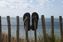 Urlaub, sandalen,