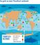 Nur zwei von 23 Thunfischbeständen weltweit sind aktuell überfischt  Bild: Marine Stewardship Council (MSC) Fotograf: Marine Stewardship Council (MSC)