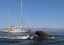 Bild: OceanCare