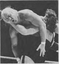 Hulk Hogan, bürgerlich Terrence „Terry“ Gene Bollea (1982), Archivbild