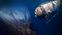 Bild: ZDF/OceanGate Expeditions/National Geographic Fotograf: ZDF
