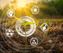 Bild: Forum Moderne Landwirtschaft e.V. Fotograf: Forum Moderne Landwirtschaft e.V.