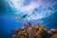 Belize  Bild: Alexandre Socci Fotograf: Belize Tourism Board