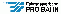 Fahrgastverband Pro Bahn Logo
