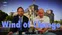 Bild: Screenshot Youtube