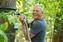Bild: Québec Maple Syrup Producers (QMSP) Fotograf: Dion