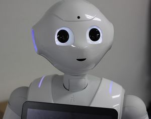 "Pepper": Beleidigungen von Roboter schmerzen.