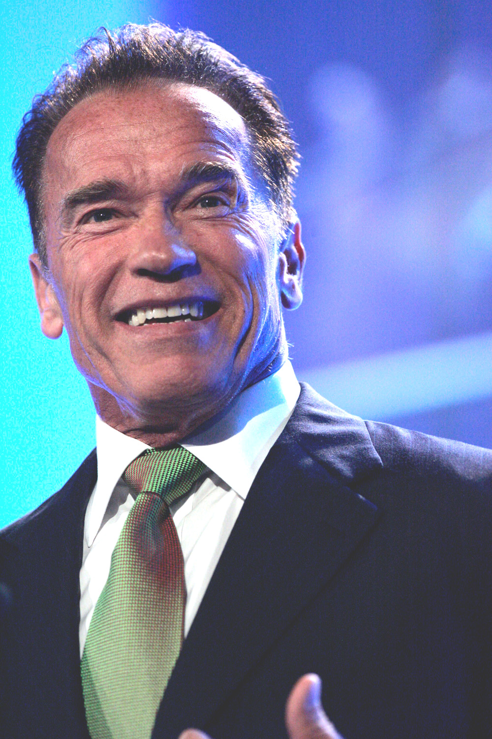 Arnold Schwarzenegger (Juni 2013)