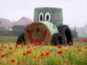 Traktor aus Stroh: Neuer Biosprit kommt vom Feld. Bild: knipseline, pixelio.de