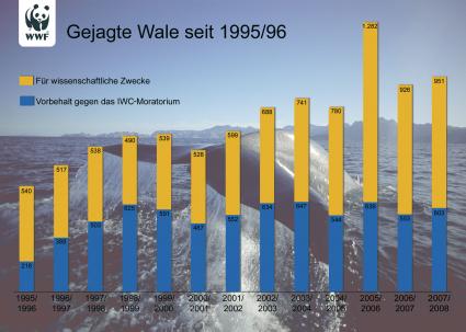 In 2008 wurden von Island, Norwegen und Japan über 1500 Wale erlegt - trotz des internationalen Moratoriums. Grafik: obs/WWF World Wide Fund For Nature