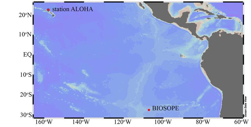 An diesen Stellen im Pazifik wurden die Symbiosen gefunden.
Quelle:  (idw)