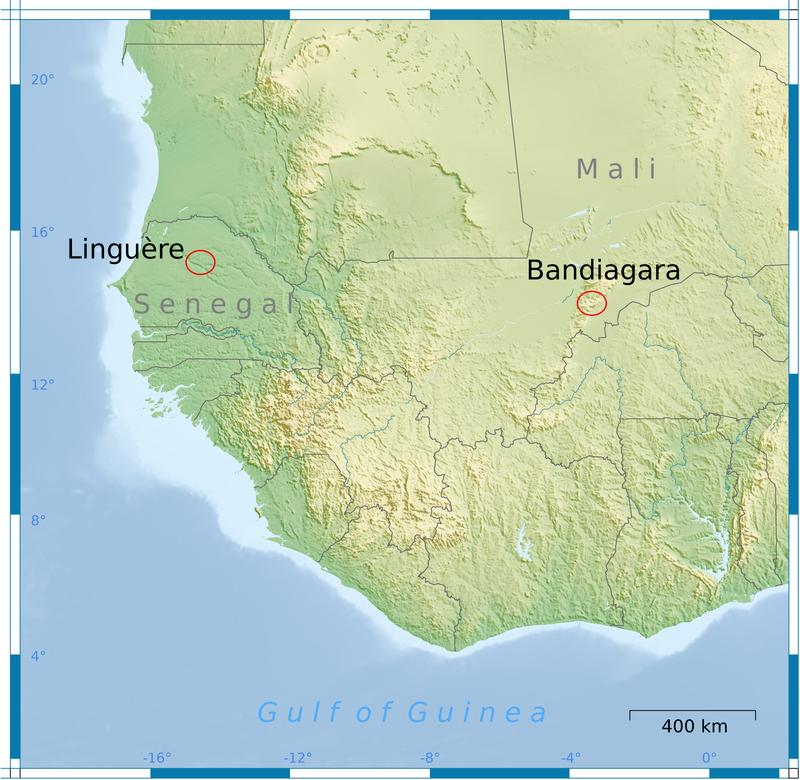 Die Feldforschungen im westafrikanischen Sahel haben sich auf zwei Untersuchungsgebiete in Senegal u
Quelle: Karte: Dipl.-Geogr. Martin Brandt, Universität Bayreuth; mit Autorangabe zur Veröffentlichung frei. (idw)