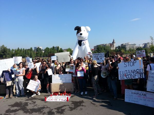 Protest gegen das Töten der Streunerhunde in Rumänien. Bild:  (c) George Nedelcu, VIER PFOTEN