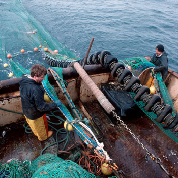 Sechs Millionen Tonnen Fisch zusätzlich zur von Wissenschaftlern empfohlenen Menge wurden in diesen neun Jahren allein im Nordostatlantik gefischt. Bild: Quentin Bates / WWF-Canon