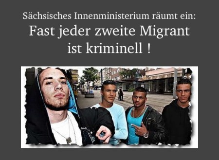 Sächsisches Innenministerium räumt ein: Fast jeder zweite Einwanderer ist Kriminell