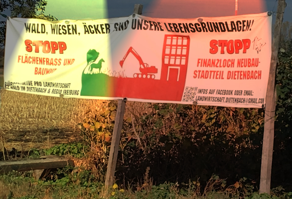 Freiburg will noch mehr Natur nachhaltig zerstören...(Symbolbild)