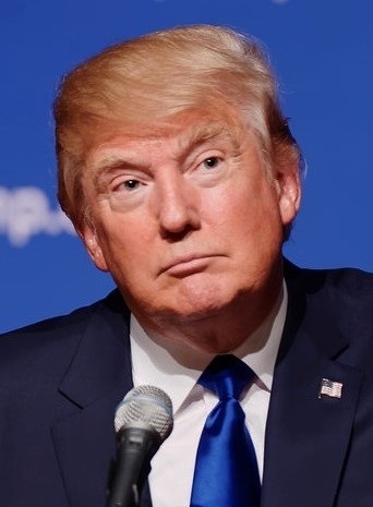 Donald Trump (2015)